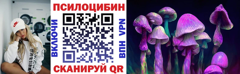 блэк спрут зеркало Покров Галлюциногенные грибы Psilocybe купить наркотик